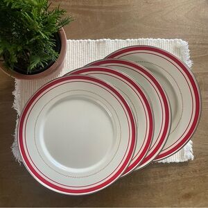 American Picnic Enamel Plates